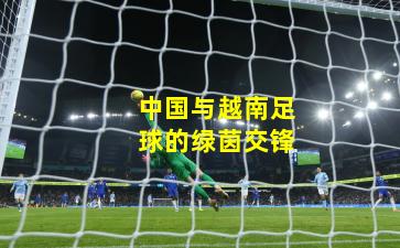 中国与越南足球的绿茵交锋